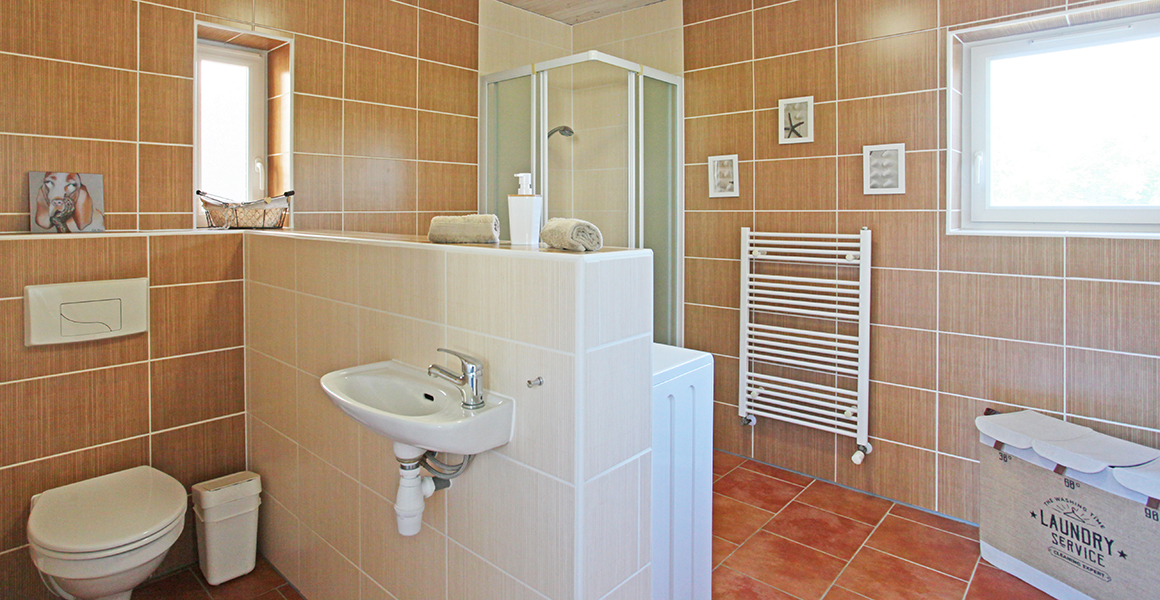 Blue Moon downstairs shower, WC and utility area
