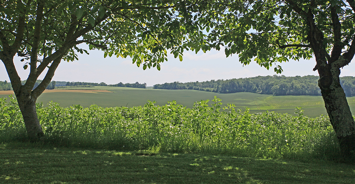 Views across the countryside