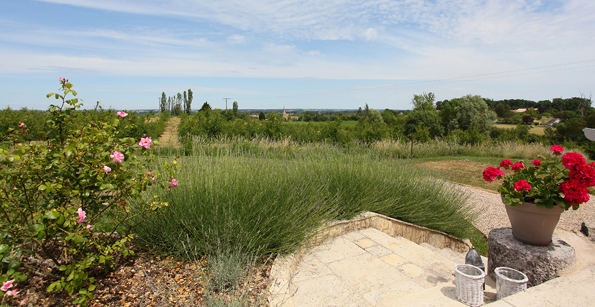 The view from the gite terrace