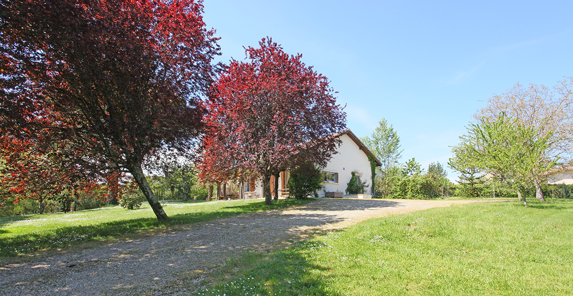 Large secluded garden