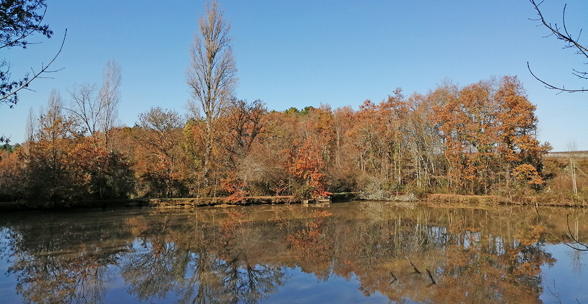 The private fishing lake