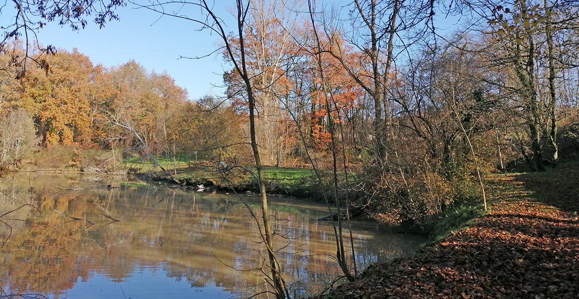 The private fishing lake