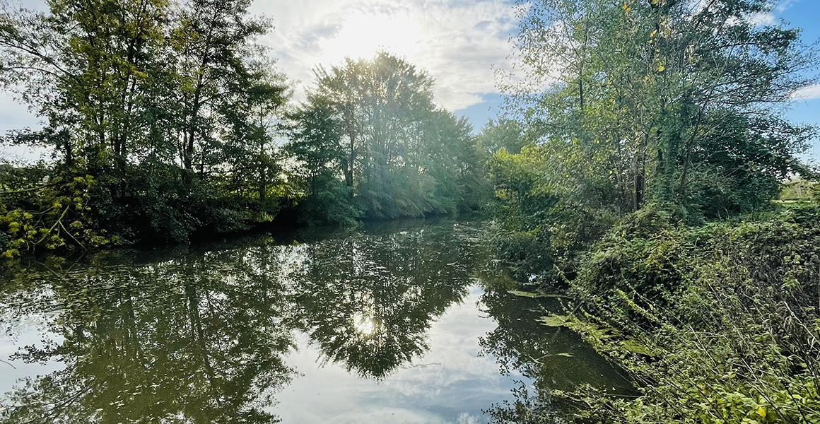 A short walk to the river