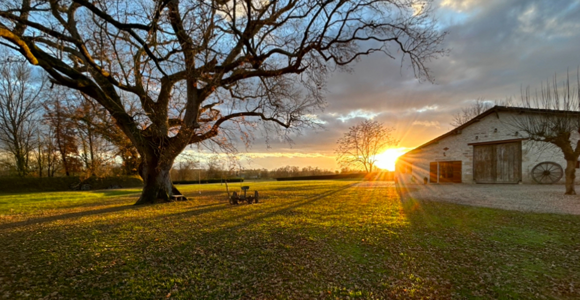 The gîte and the ancient oak