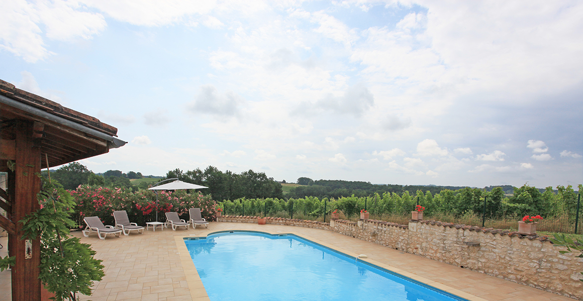 The pool overlooking the vines