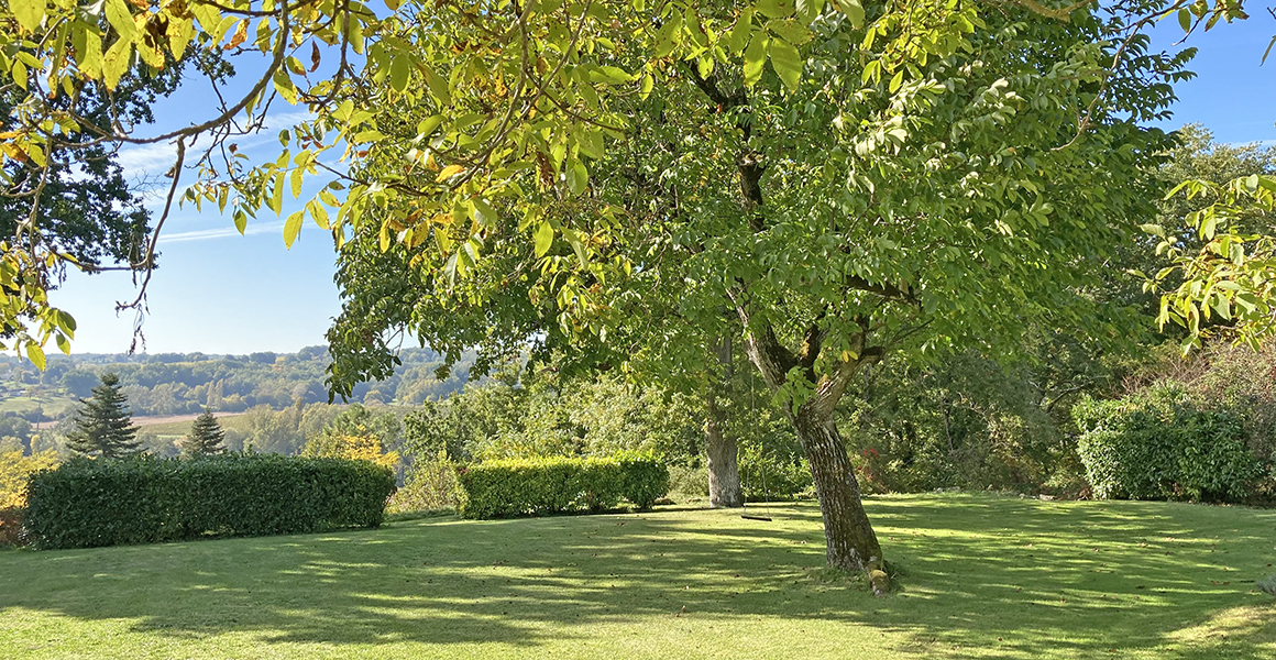 The private rear garden