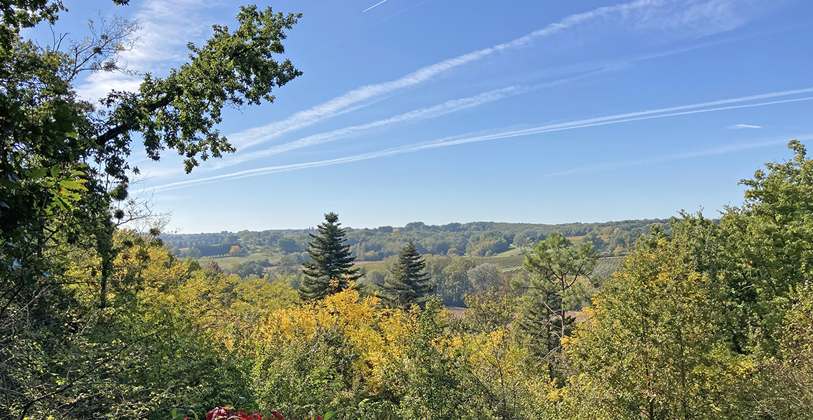 View towards the vineyards