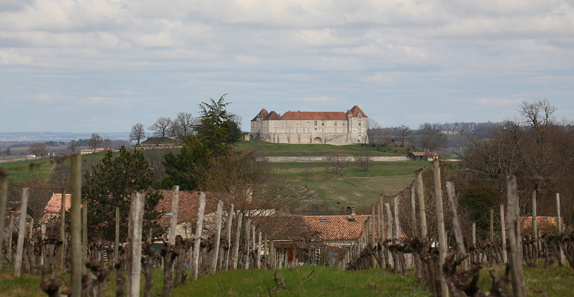 View across the vineyard to the chateau