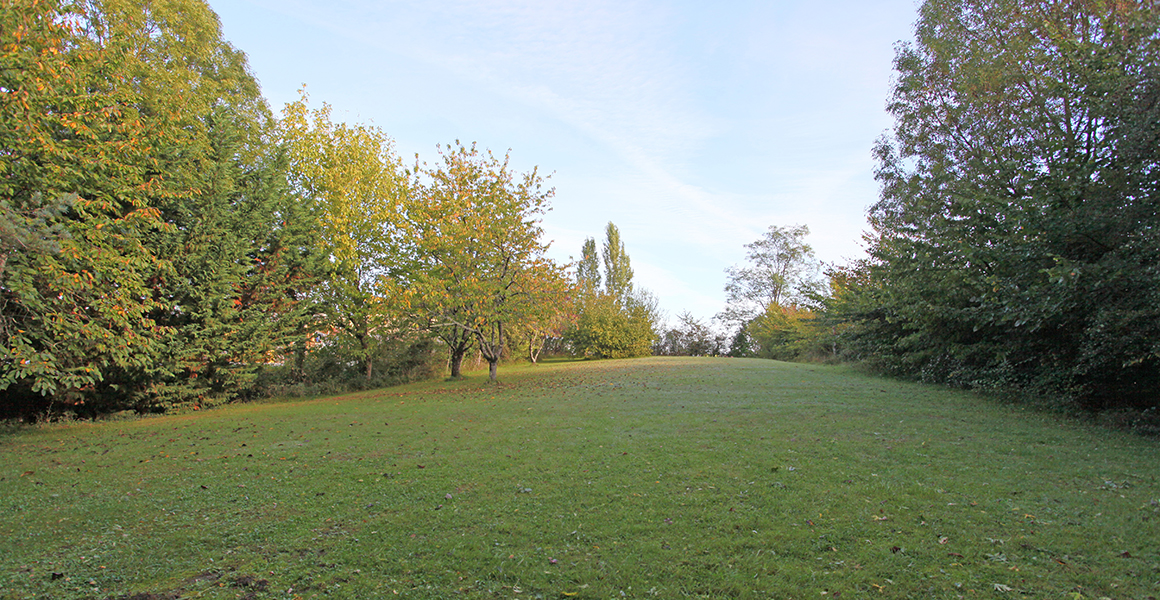 The large garden at the rear of the property